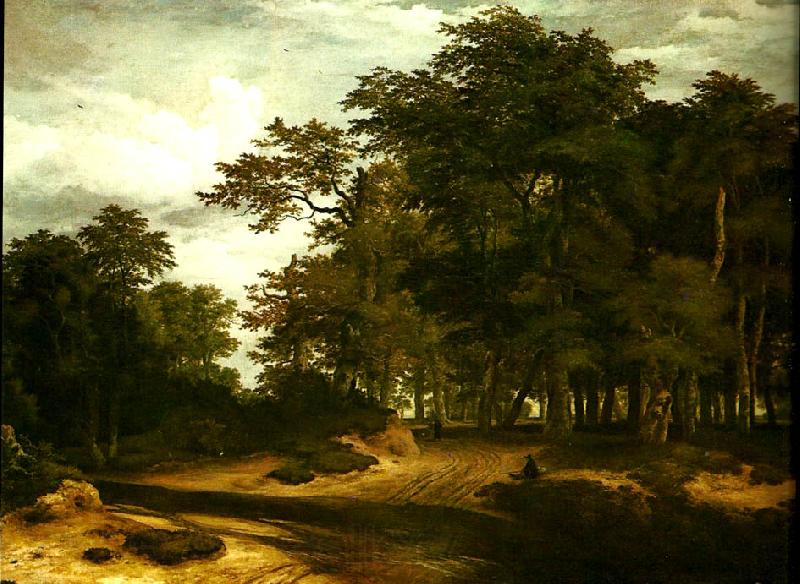 Jacob van Ruisdael den stora skogen